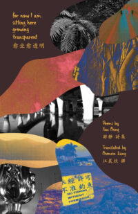 for now I am sitting here growing transparent